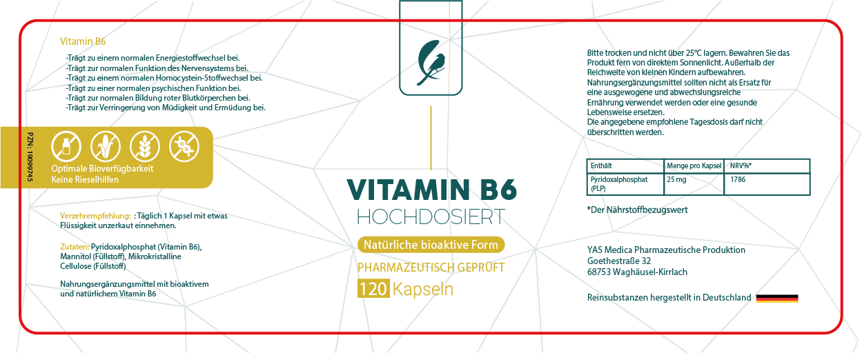 Vitamin B6 als Pyridoxalphosphat (PLP) hochdosiert und bioaktiv, enthält 120 vegane Kapseln mit 25mg Vitamin B6, welches für die Erhaltung gesunder Nerven essenziell ist, Vitamin B6 für die Nervenfunktion und für das Gedächtnis. Vitamin B6 für die Blutbildung, Vitamin B6 für eine gesunde Psyche, vitamin B6 für das Immunsystem, Vitamin b6 Kapseln hochdosiert, Vitamin b6 vegan, Vitamin B6 in natürlicher bioaktiven Form für das Immunsystem und für die allgemeine Gesundheit und Psyche
