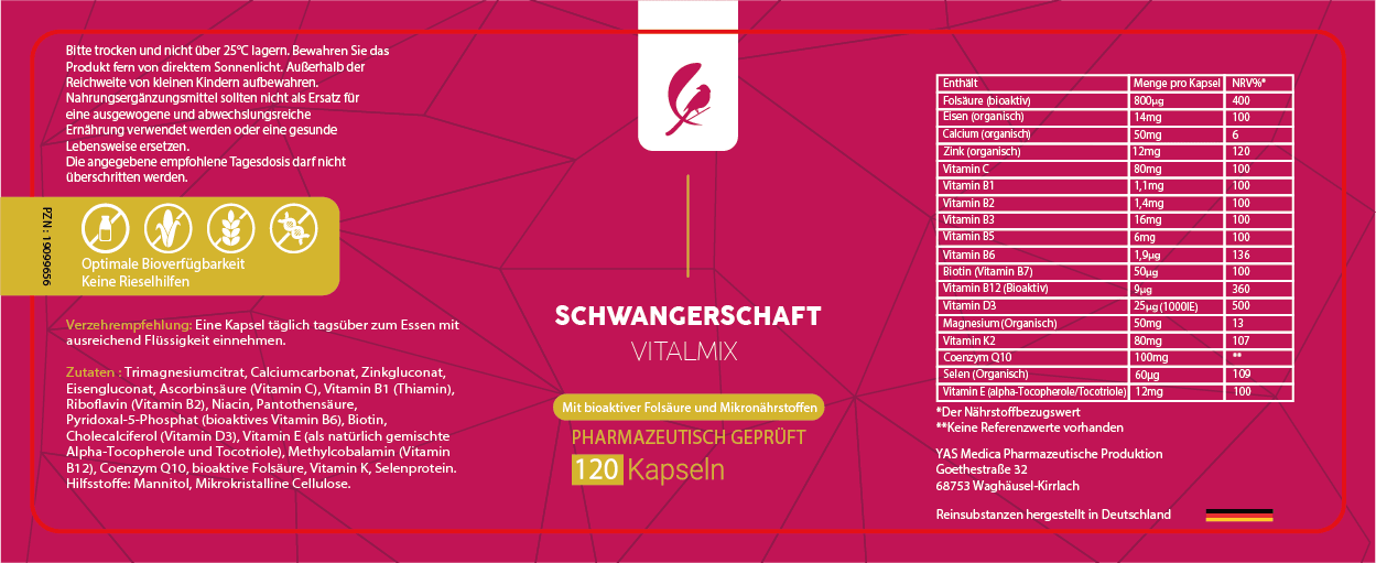 Schwangerschaft VitalMix